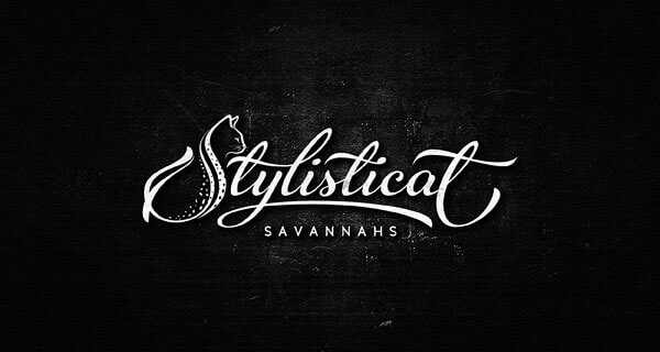 Typography và Script